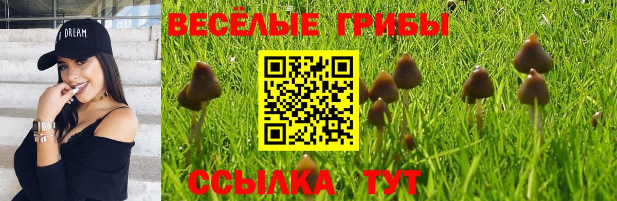 Галлюциногенные грибы ЛСД  как найти   Саратов  Вход с VPN 