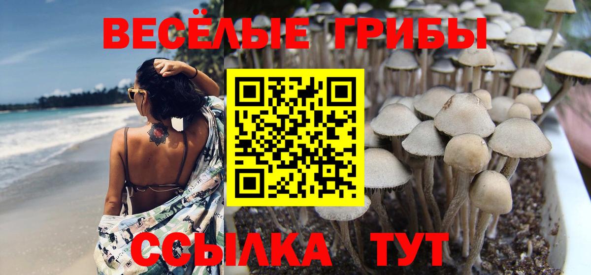 Псилоцибиновые грибы мухоморы Саратов