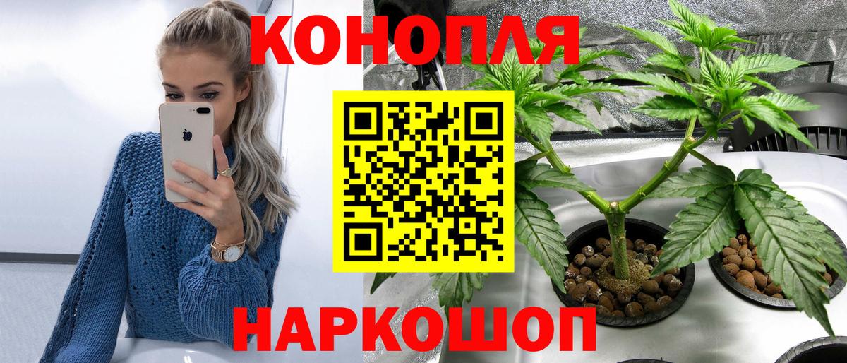 Саратов  МАРИХУАНА планчик  МАРИХУАНА сатива  Вход с VPN 